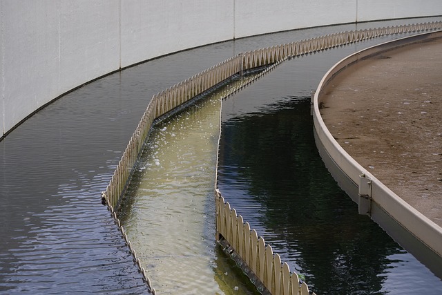 environnement-5